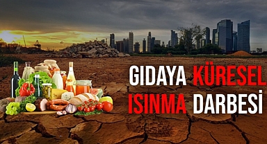 Küresel ısınma gıda enflasyonunu artırabilir