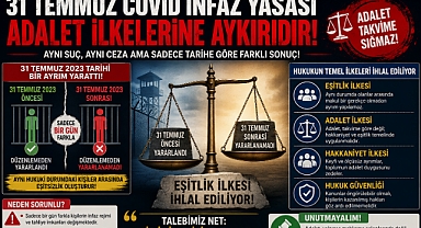 TBMM Göreve ! 31 Temmuz COVID İnfaz Yasası Adalet İlkelerine Aykırıdır!
